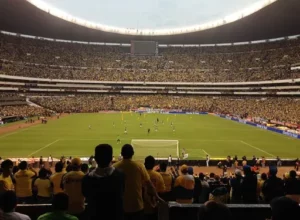 马赛引援快,格林伍德两,天前归队备,亚博体育,亚博体育官网,亚博体育app,亚博体育下载