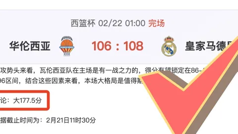 薩索洛后卫维纳加盟罗马租借期至！